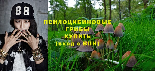 мяу мяу мука Абдулино