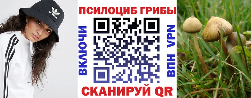 Псилоцибиновые грибы GOLDEN TEACHER  Каменск-Уральский 